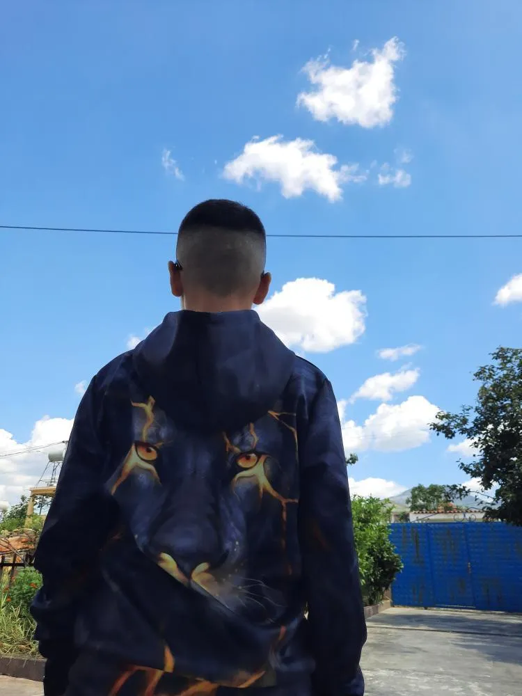 Animal 3D Printed Hoodies