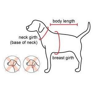 Chick Hoodie for Dogs