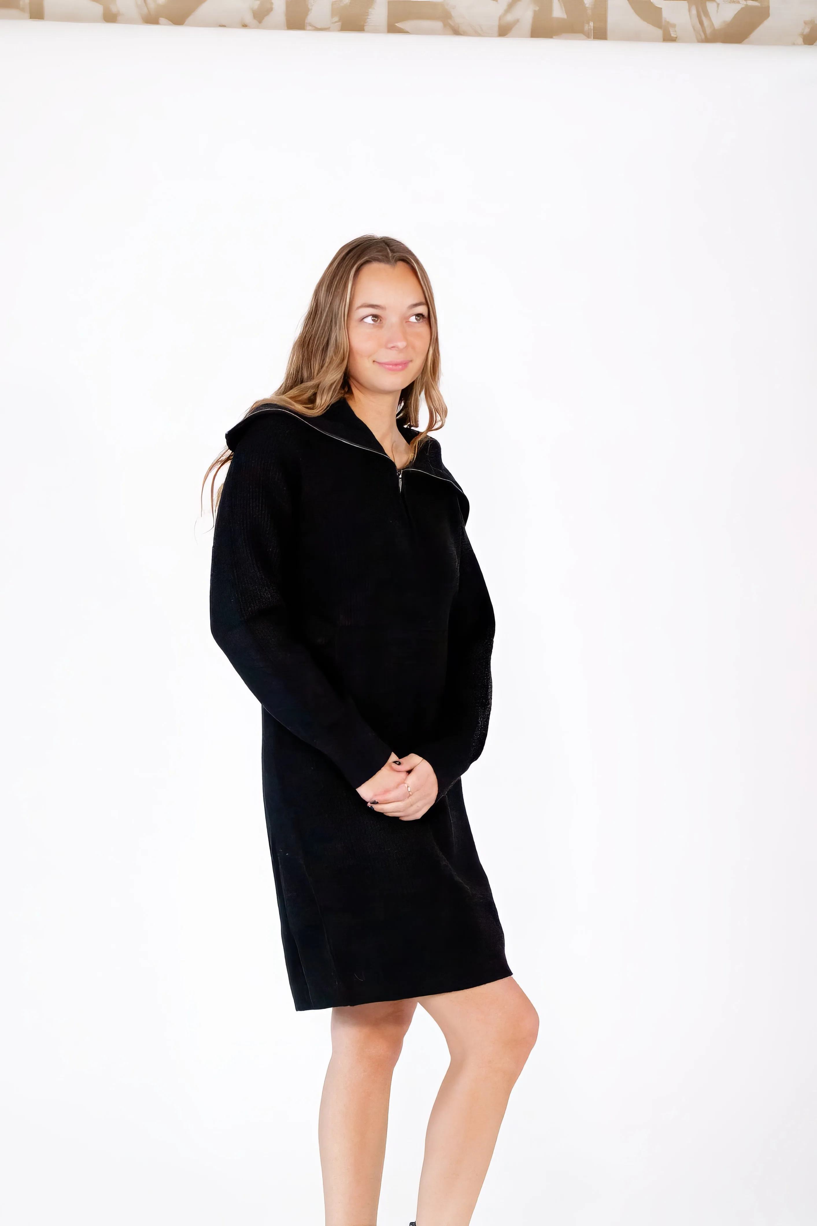 Franca Collared Knit Dress