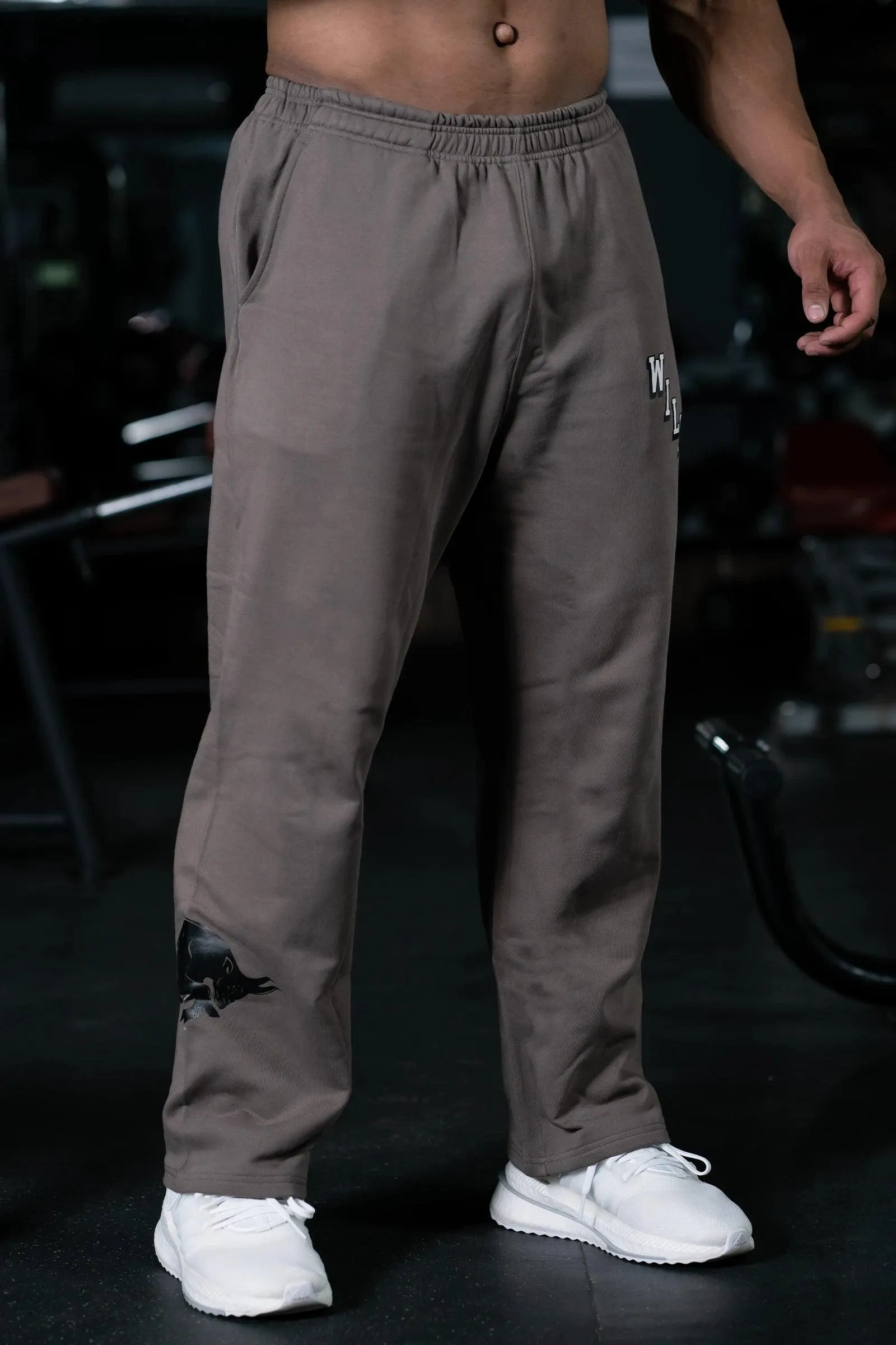 JOURNEY WILDES EVERYDAY ESSENTIAL SWEAT PANTS (EARTHY BROWN)
