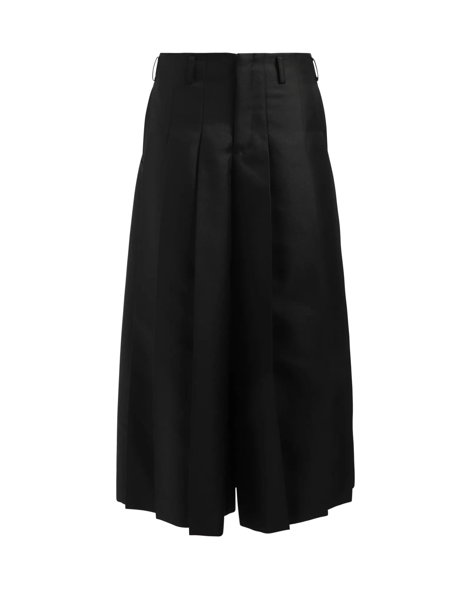 Pleated Pants