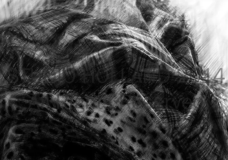 Shirts Study (for Studio I), three variations available