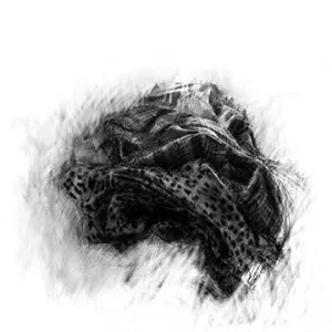 Shirts Study (for Studio I), three variations available